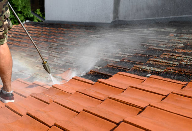 Best Pressure Washing Driveway  in Sanford, ME